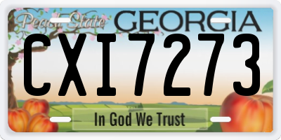GA license plate CXI7273