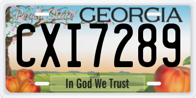 GA license plate CXI7289