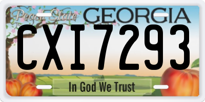 GA license plate CXI7293