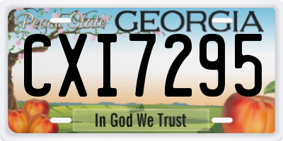 GA license plate CXI7295