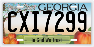 GA license plate CXI7299