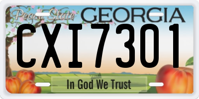 GA license plate CXI7301