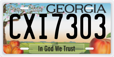 GA license plate CXI7303