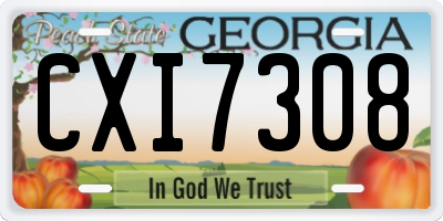 GA license plate CXI7308