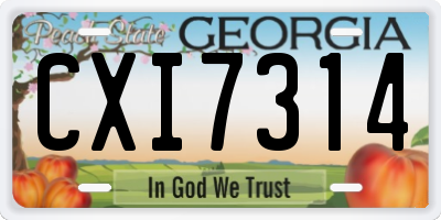 GA license plate CXI7314