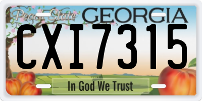 GA license plate CXI7315