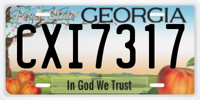 GA license plate CXI7317