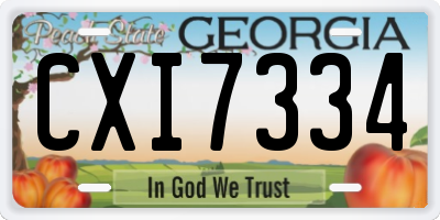 GA license plate CXI7334