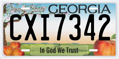GA license plate CXI7342