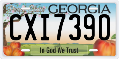 GA license plate CXI7390