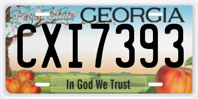 GA license plate CXI7393