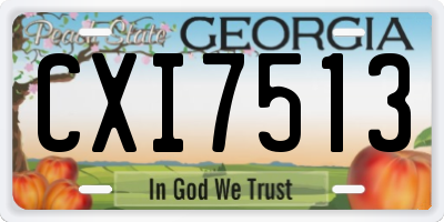 GA license plate CXI7513