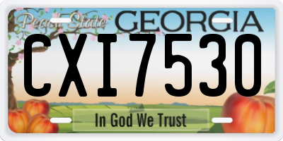 GA license plate CXI7530