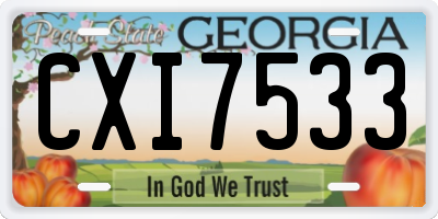 GA license plate CXI7533