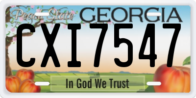 GA license plate CXI7547