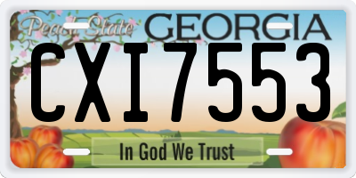 GA license plate CXI7553