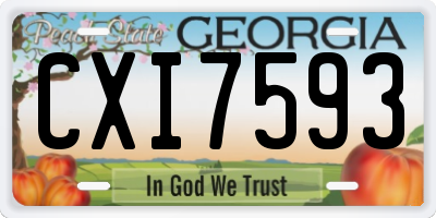 GA license plate CXI7593