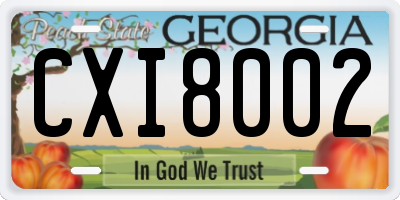 GA license plate CXI8002
