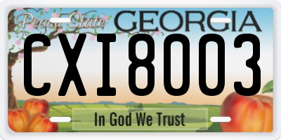 GA license plate CXI8003