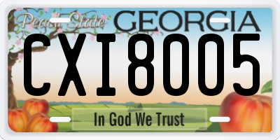 GA license plate CXI8005
