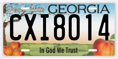 GA license plate CXI8014