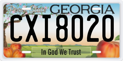 GA license plate CXI8020