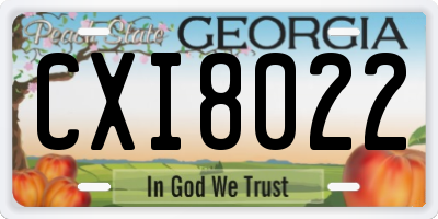 GA license plate CXI8022