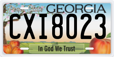 GA license plate CXI8023