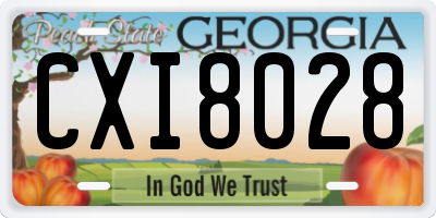 GA license plate CXI8028