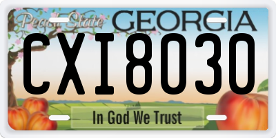 GA license plate CXI8030