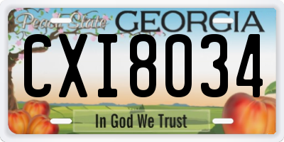 GA license plate CXI8034