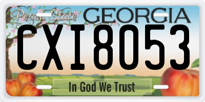 GA license plate CXI8053