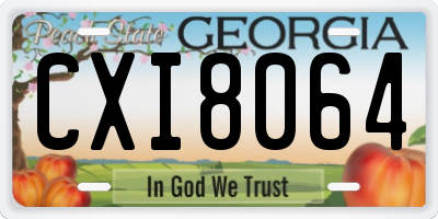 GA license plate CXI8064
