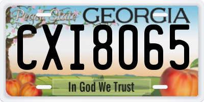 GA license plate CXI8065