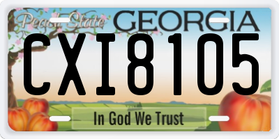 GA license plate CXI8105