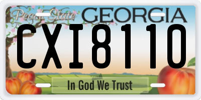 GA license plate CXI8110