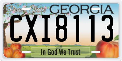GA license plate CXI8113
