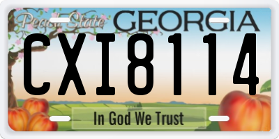 GA license plate CXI8114