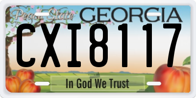 GA license plate CXI8117