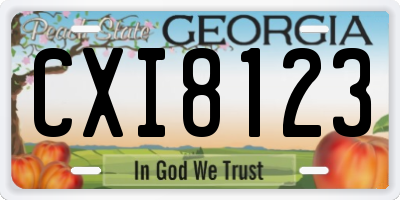 GA license plate CXI8123