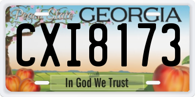 GA license plate CXI8173