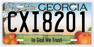 GA license plate CXI8201