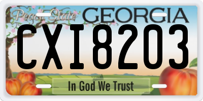 GA license plate CXI8203