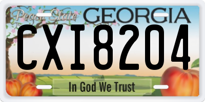GA license plate CXI8204