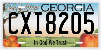 GA license plate CXI8205