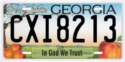 GA license plate CXI8213