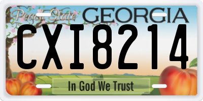 GA license plate CXI8214