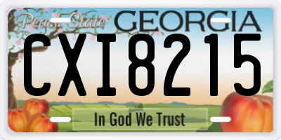 GA license plate CXI8215