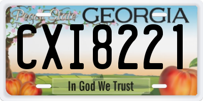 GA license plate CXI8221