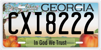 GA license plate CXI8222